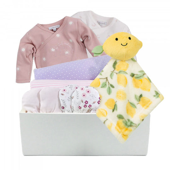 Shopa Baby 高級嬰兒禮籃 BH246