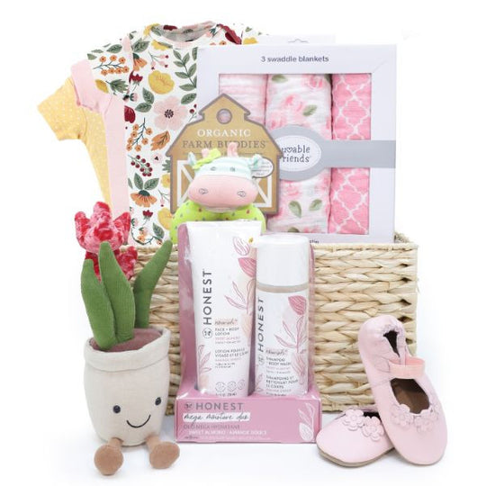 Shopa Baby 高級嬰兒禮籃 BH256