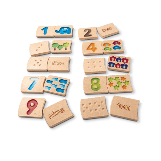 Plantoys Blocks - Number 1-10 (Gradient) Planwood